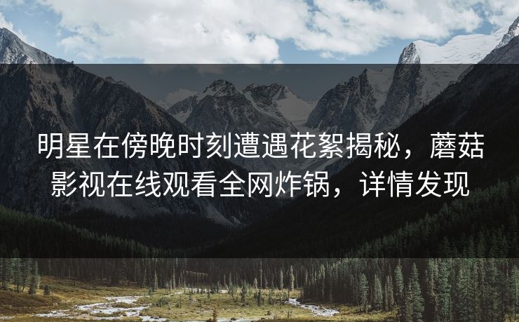 明星在傍晚时刻遭遇花絮揭秘，蘑菇影视在线观看全网炸锅，详情发现