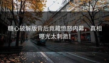 糖心破解版背后竟藏愤怒内幕，真相曝光太刺激！