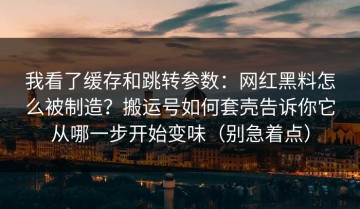 我看了缓存和跳转参数：网红黑料怎么被制造？搬运号如何套壳告诉你它从哪一步开始变味（别急着点）