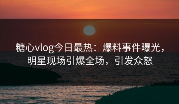 糖心vlog今日最热：爆料事件曝光，明星现场引爆全场，引发众怒