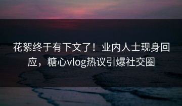 花絮终于有下文了！业内人士现身回应，糖心vlog热议引爆社交圈