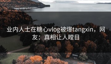 业内人士在糖心vlog被爆tangxin，网友：真相让人瞠目