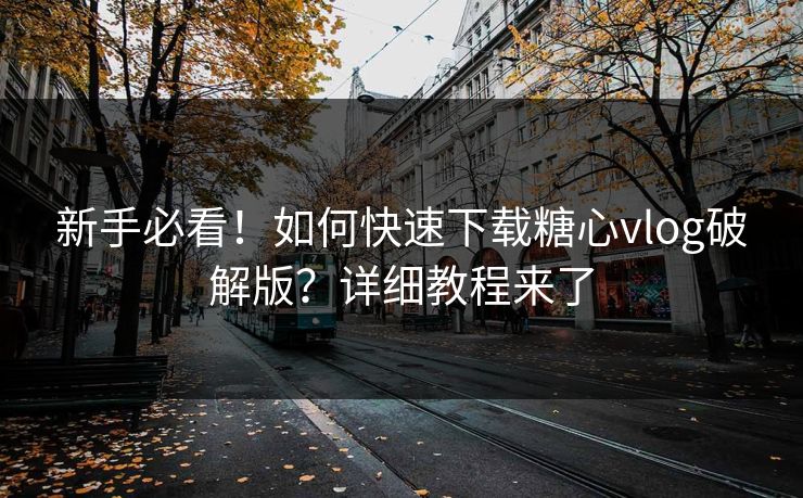 新手必看！如何快速下载糖心vlog破解版？详细教程来了