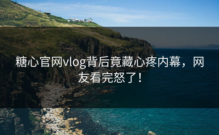 糖心官网vlog背后竟藏心疼内幕，网友看完怒了！