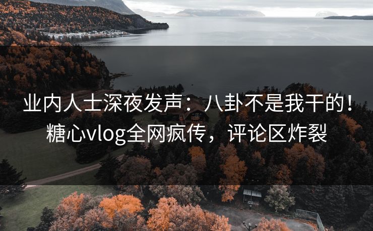 业内人士深夜发声：八卦不是我干的！糖心vlog全网疯传，评论区炸裂