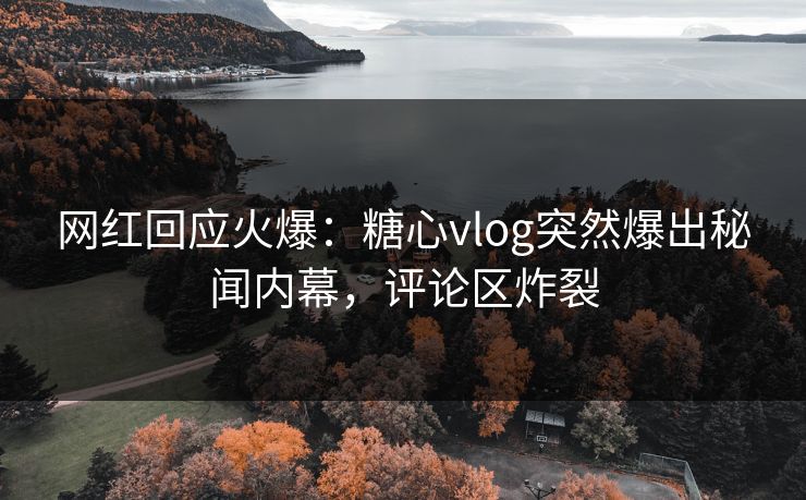 网红回应火爆：糖心vlog突然爆出秘闻内幕，评论区炸裂