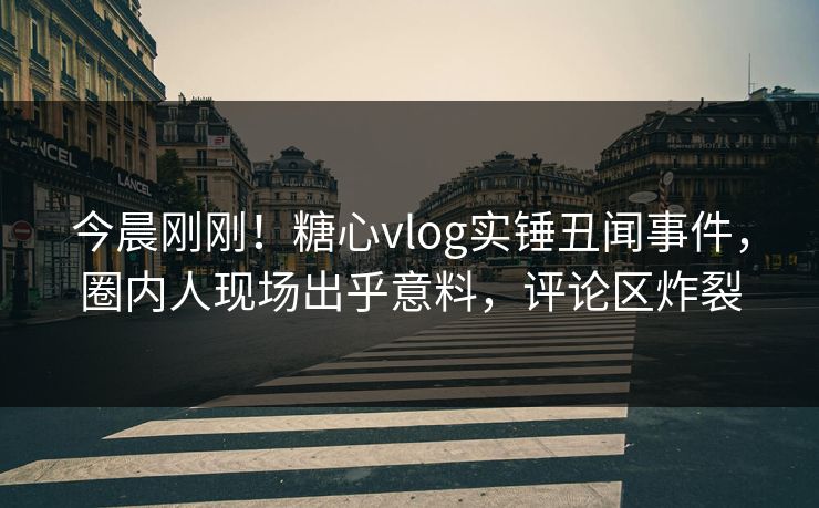 今晨刚刚！糖心vlog实锤丑闻事件，圈内人现场出乎意料，评论区炸裂