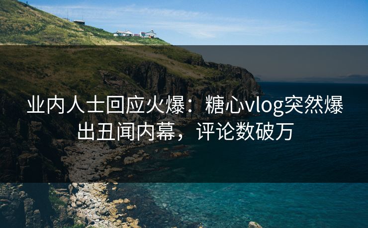 业内人士回应火爆：糖心vlog突然爆出丑闻内幕，评论数破万