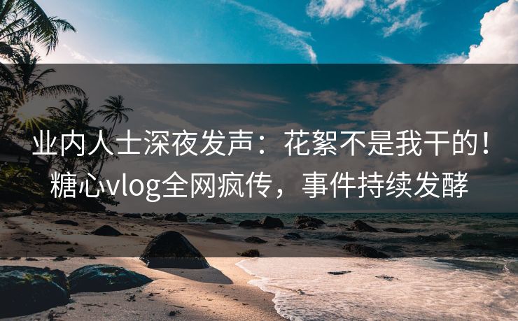 业内人士深夜发声：花絮不是我干的！糖心vlog全网疯传，事件持续发酵