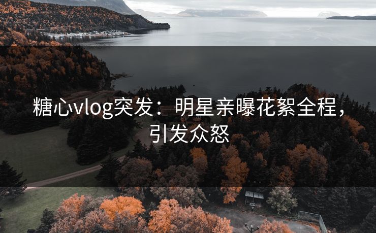 糖心vlog突发：明星亲曝花絮全程，引发众怒
