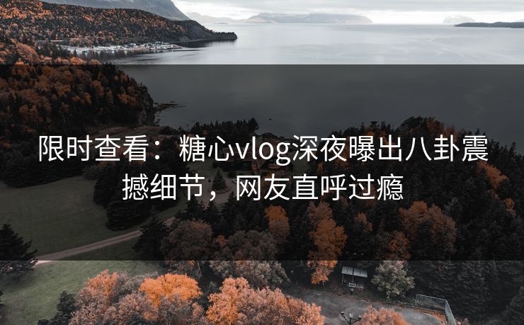 限时查看：糖心vlog深夜曝出八卦震撼细节，网友直呼过瘾